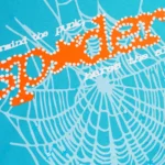Blue And Orange Sp5der Hoodie​
