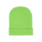 Green Sp5der Beanie​