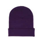 Purple Sp5der Beanie​