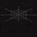 Sp5der OG Web Hoodie Black​
