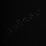 Sp5der Stone Hoodie​