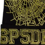 Sp5der Web Beanie​